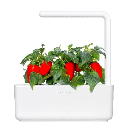 Ligação para: Smart Garden