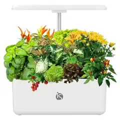 Ligação para: Higiene e Casa