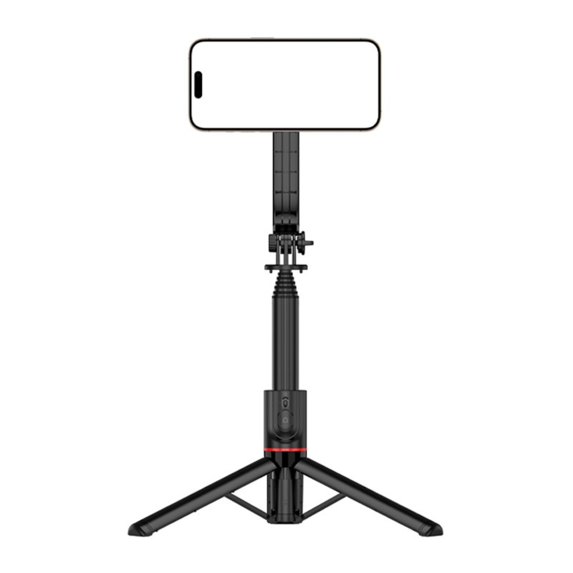Selfie stick