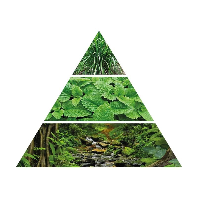 Recarga de Aroma INN