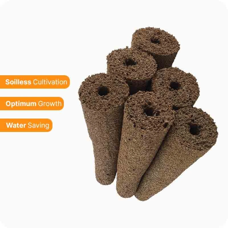 Kit Esponja Hidropónica