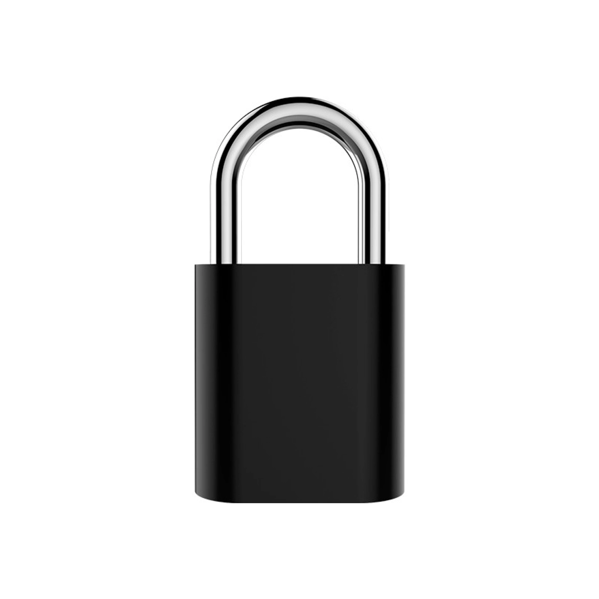 Cadenas à Empreinte Digitale arrière