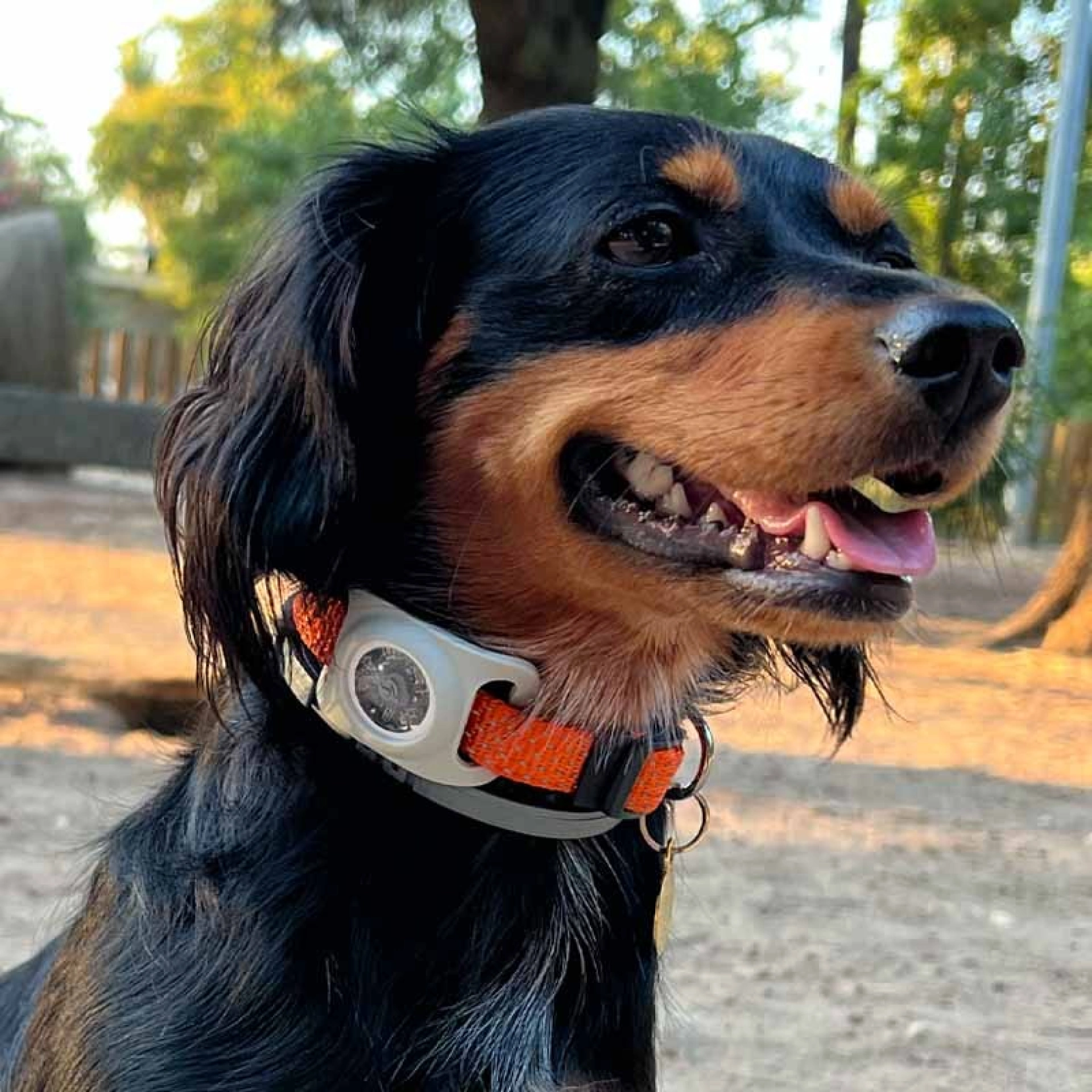Funda AirTag para Collar