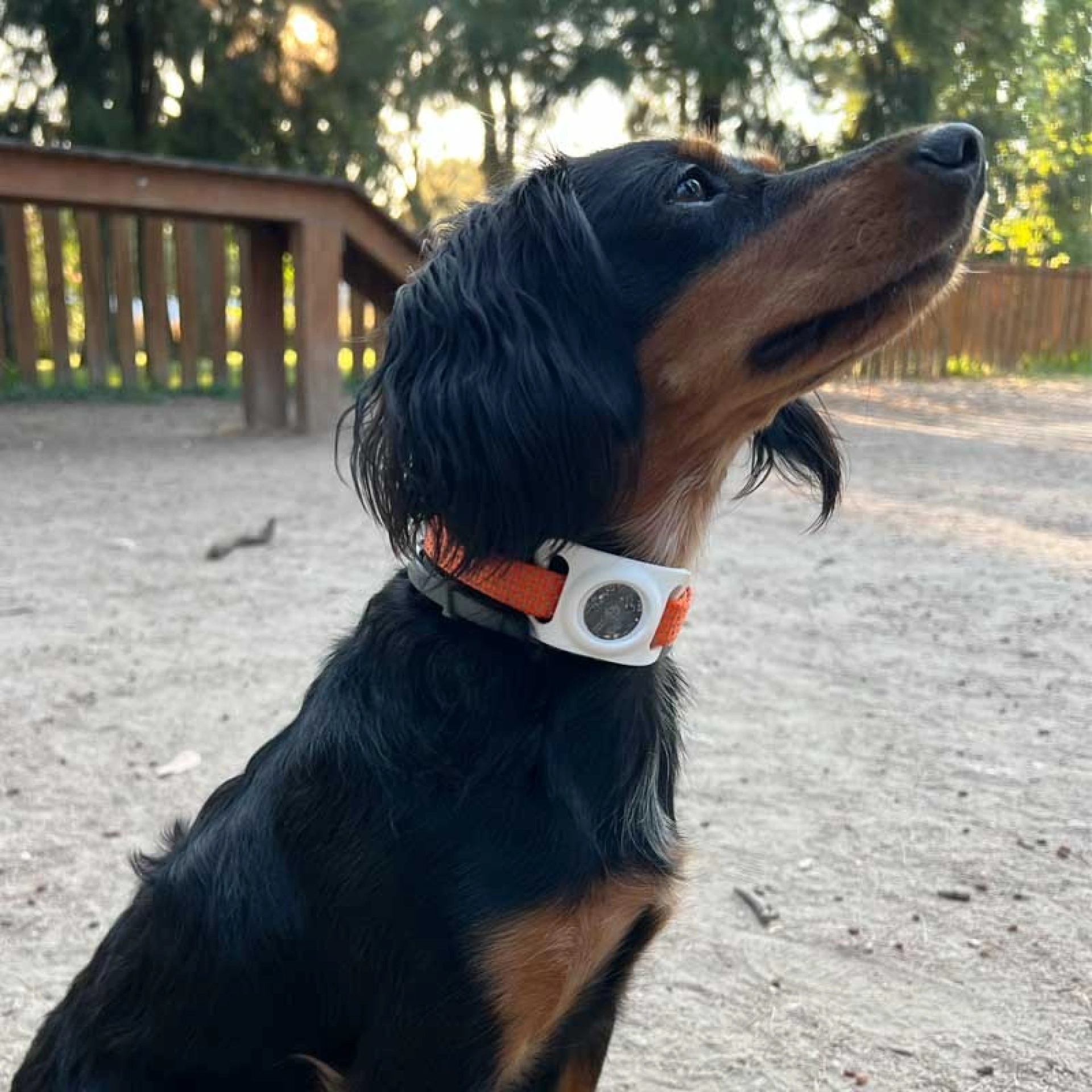 Funda AirTag para Collar