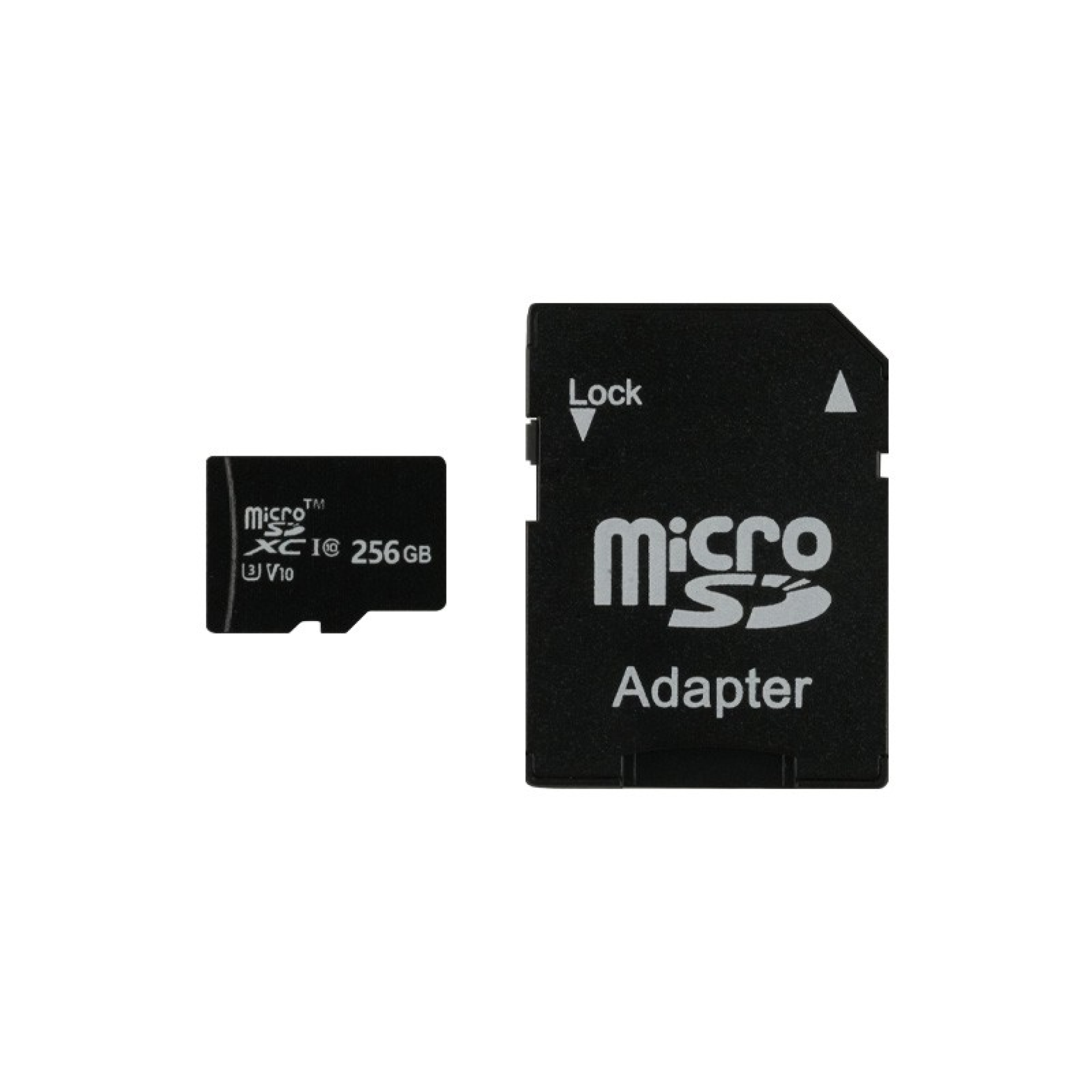 Carte Micro SD 256 Go