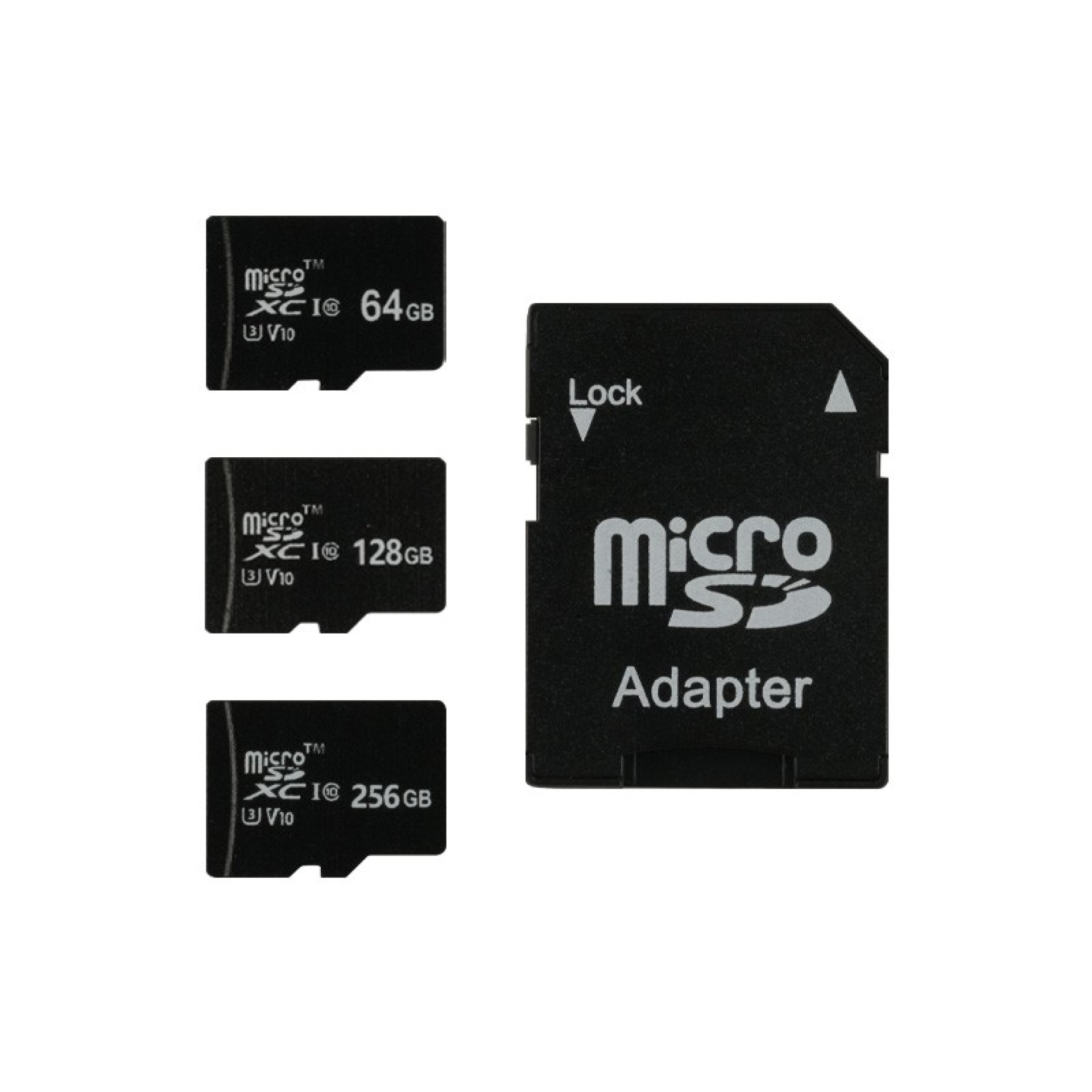 Carte Micro SD