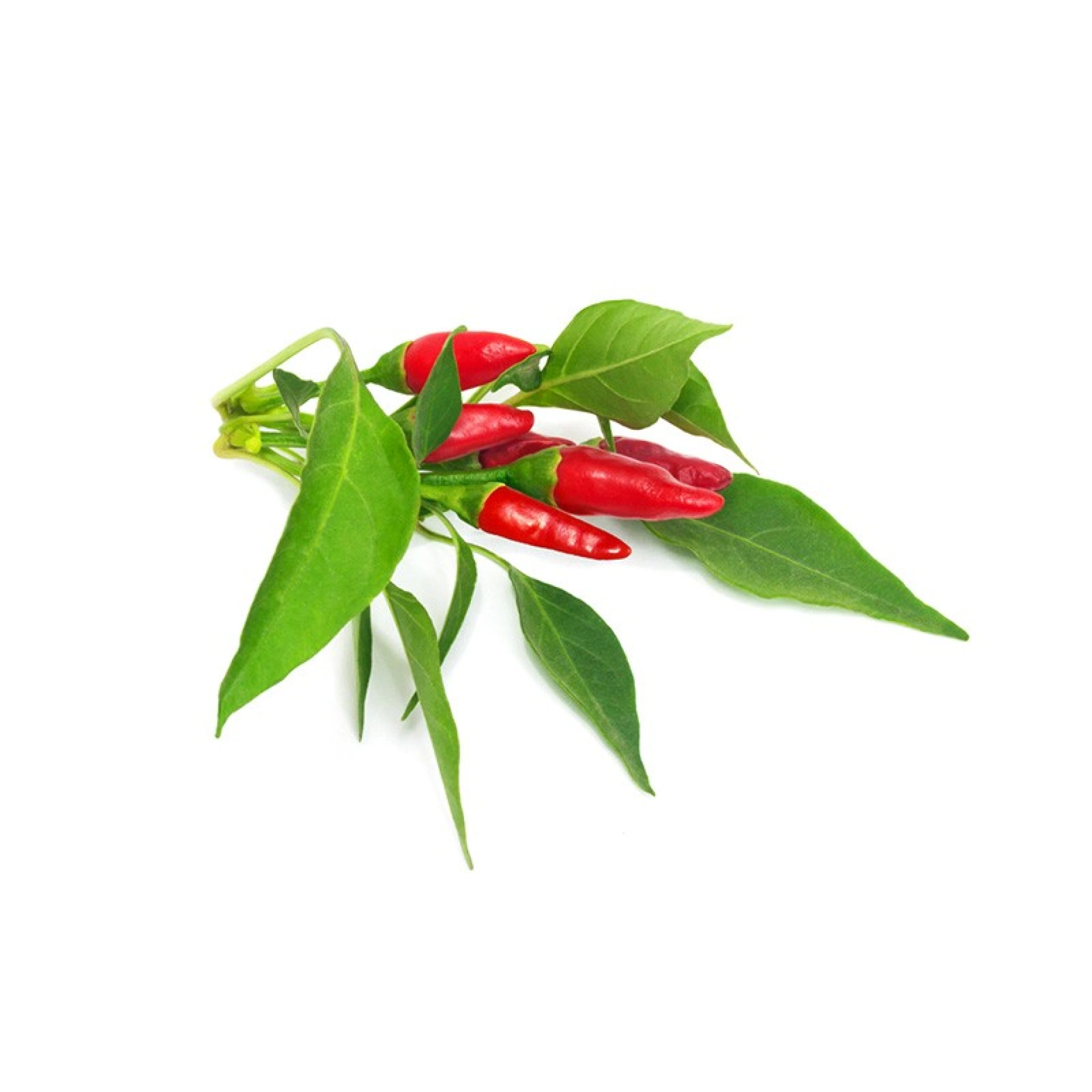 Cápsulas de Sementes Click and Grow 3 Piri Piri