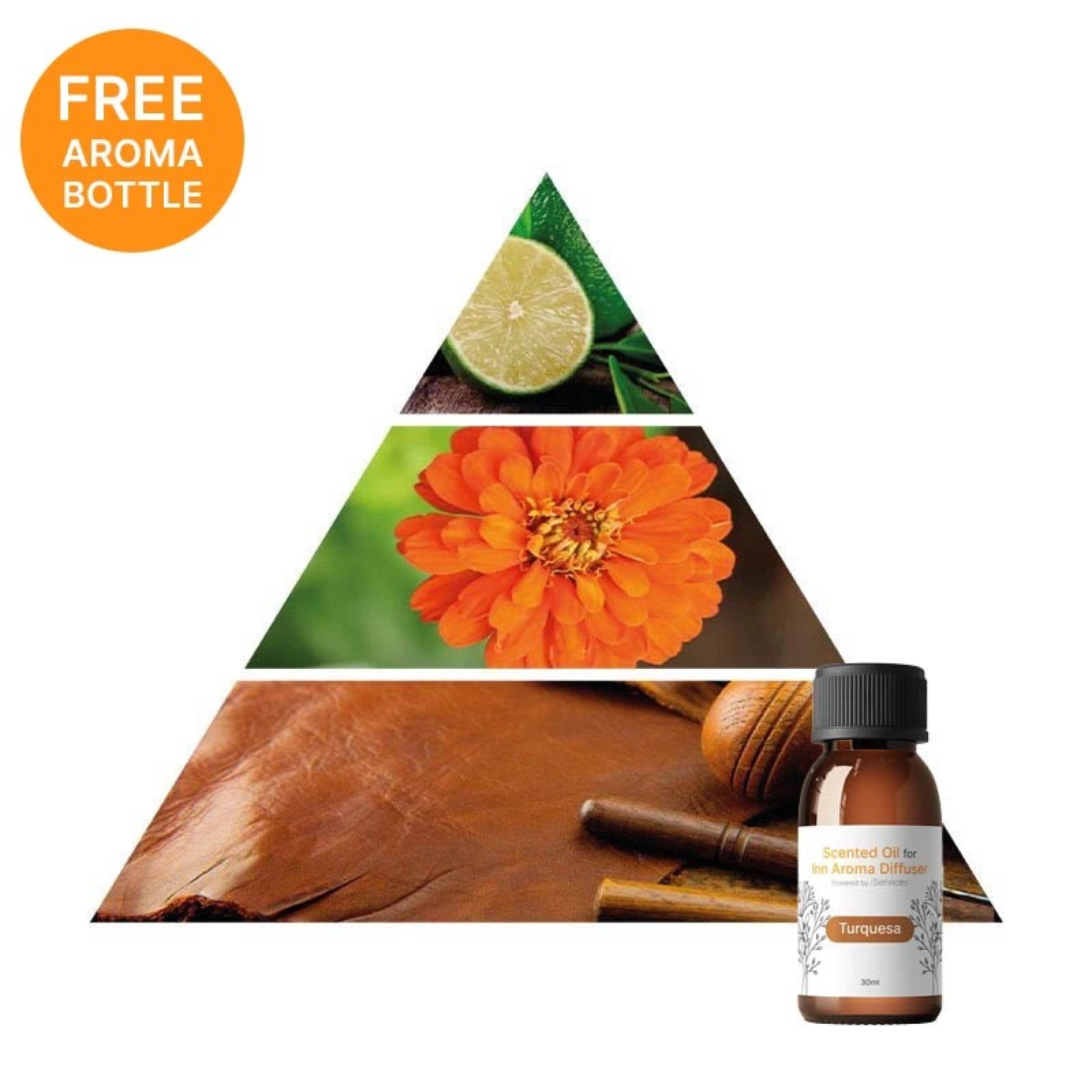 Difusor INN AROMA Powered by iS