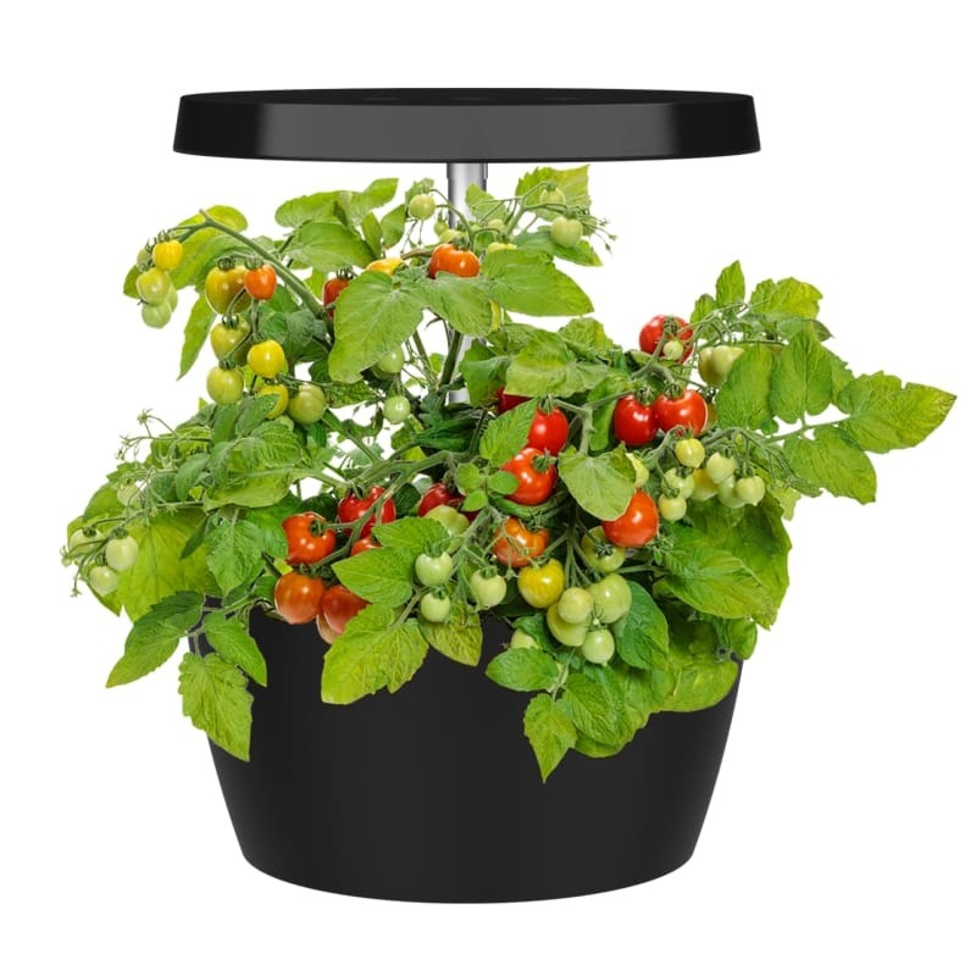 Jardin urbain Oasis