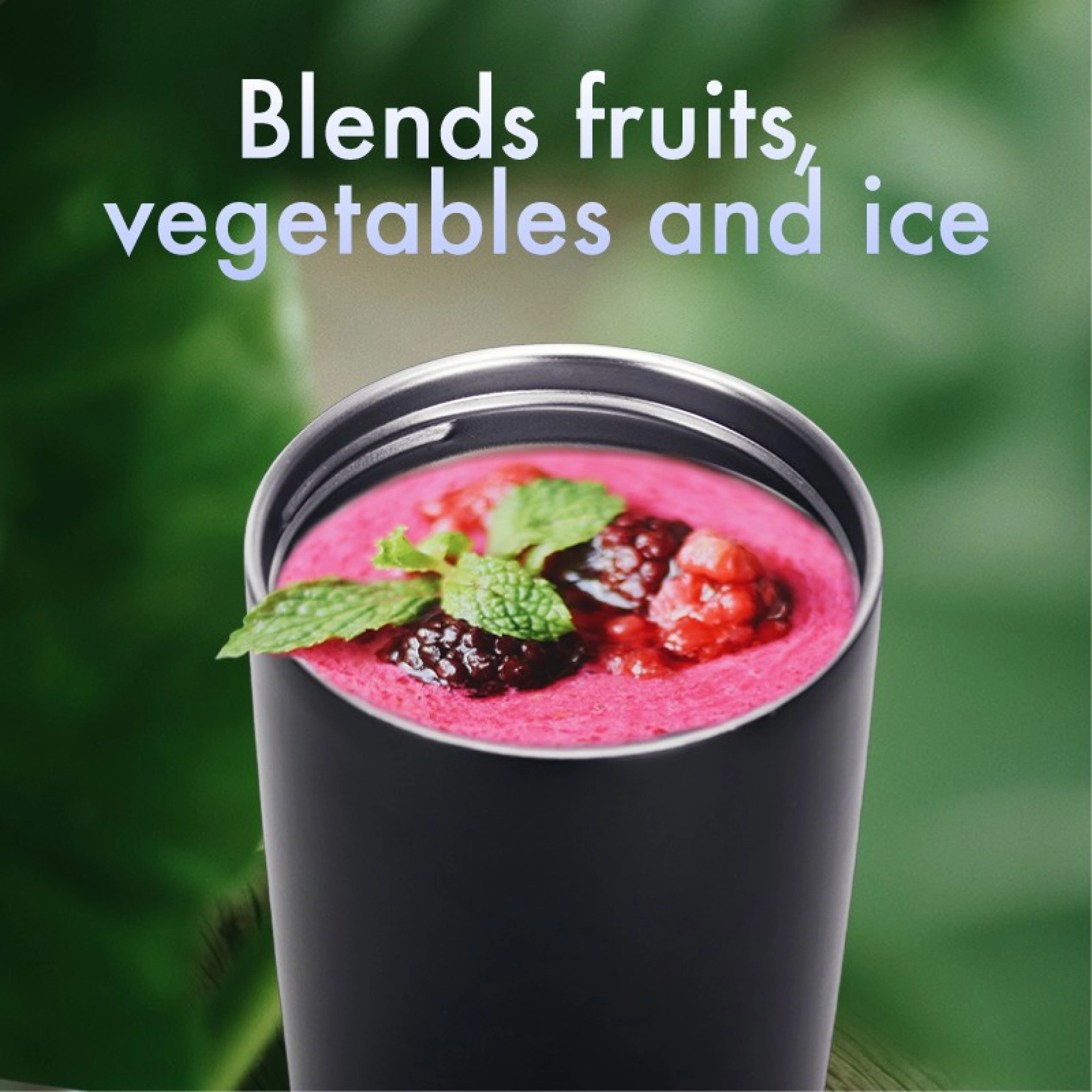 Blender Portable
