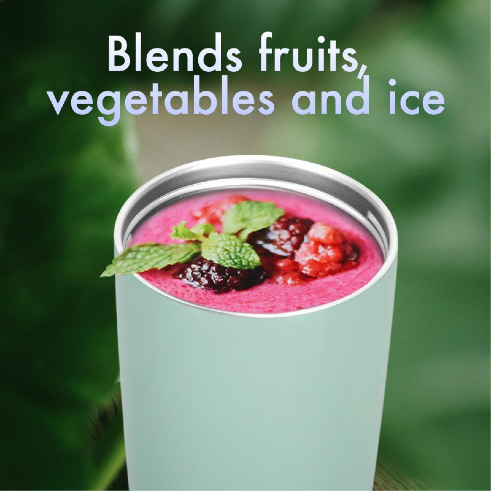 Blender Portable
