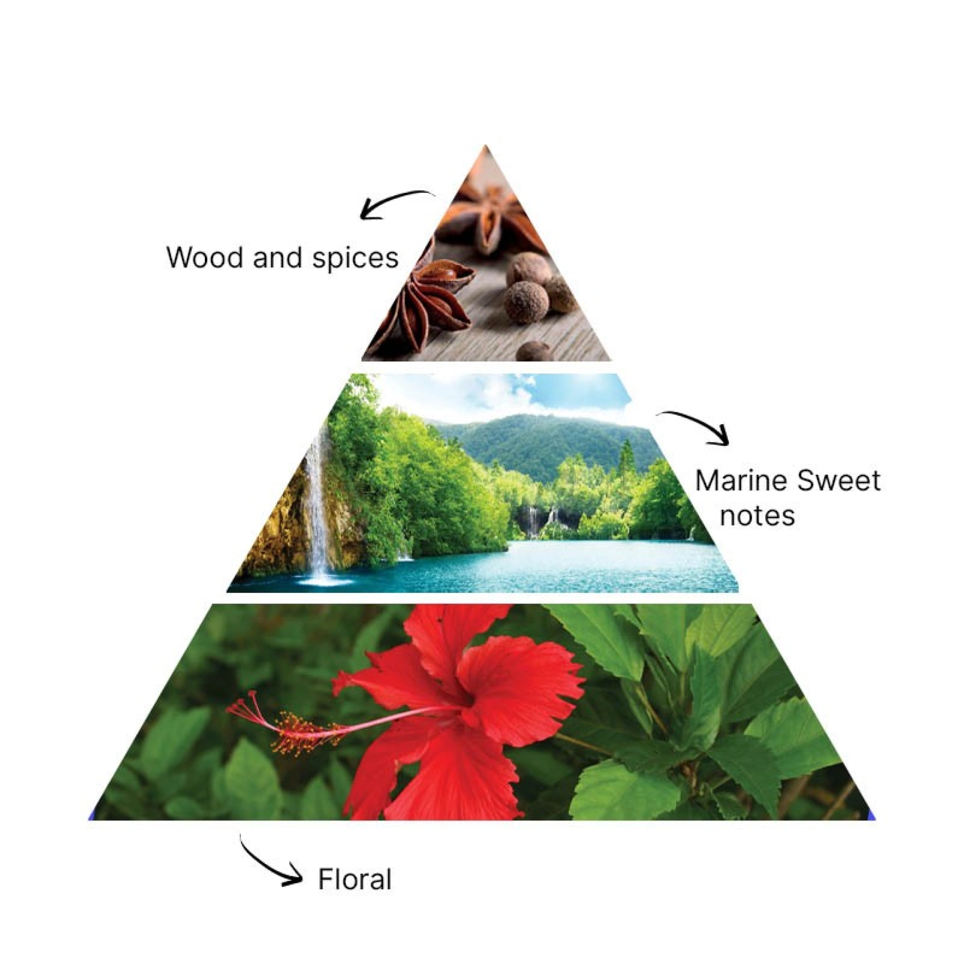 Recarga para Difusor de Aromas