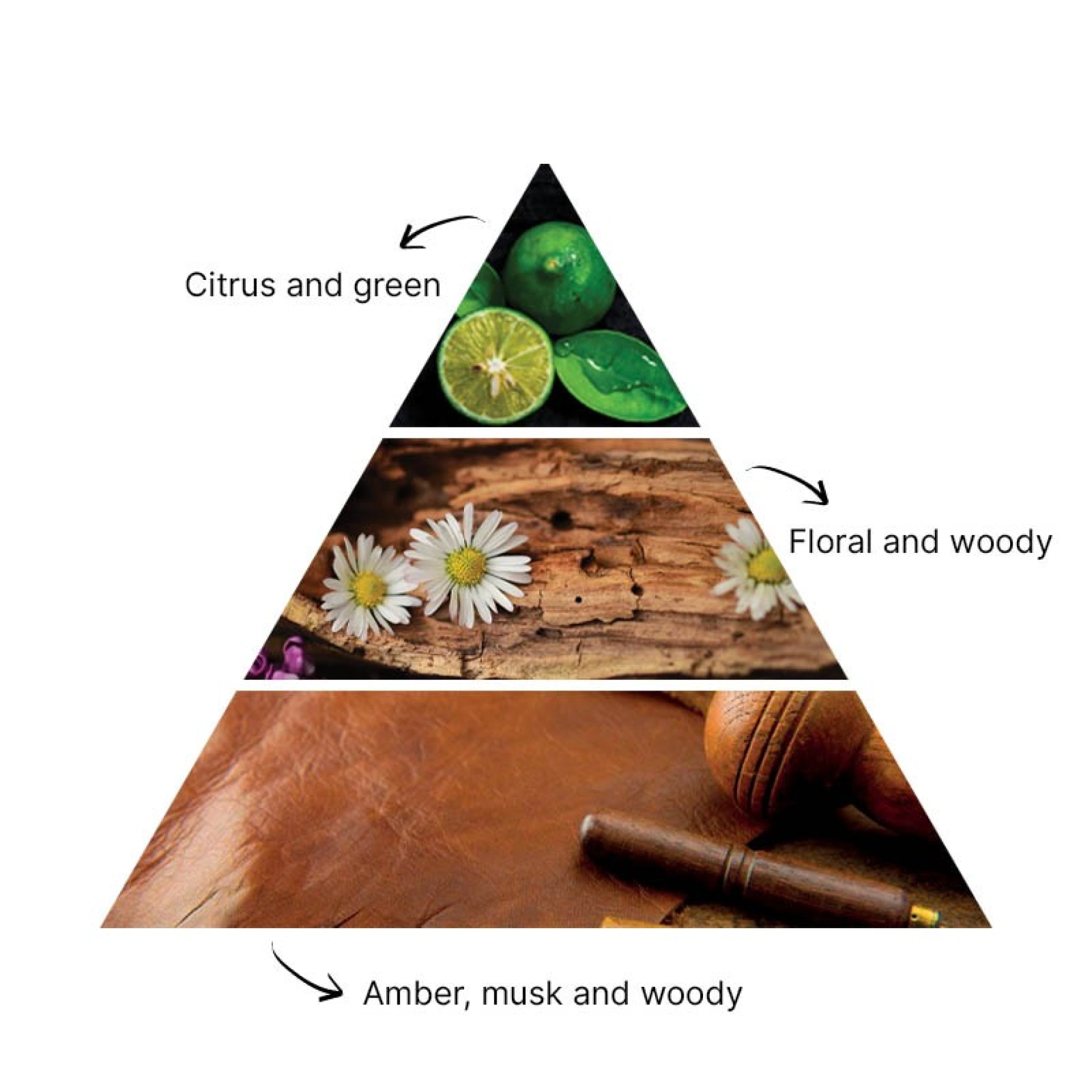 Recarga Difusor de Aromas Carro
