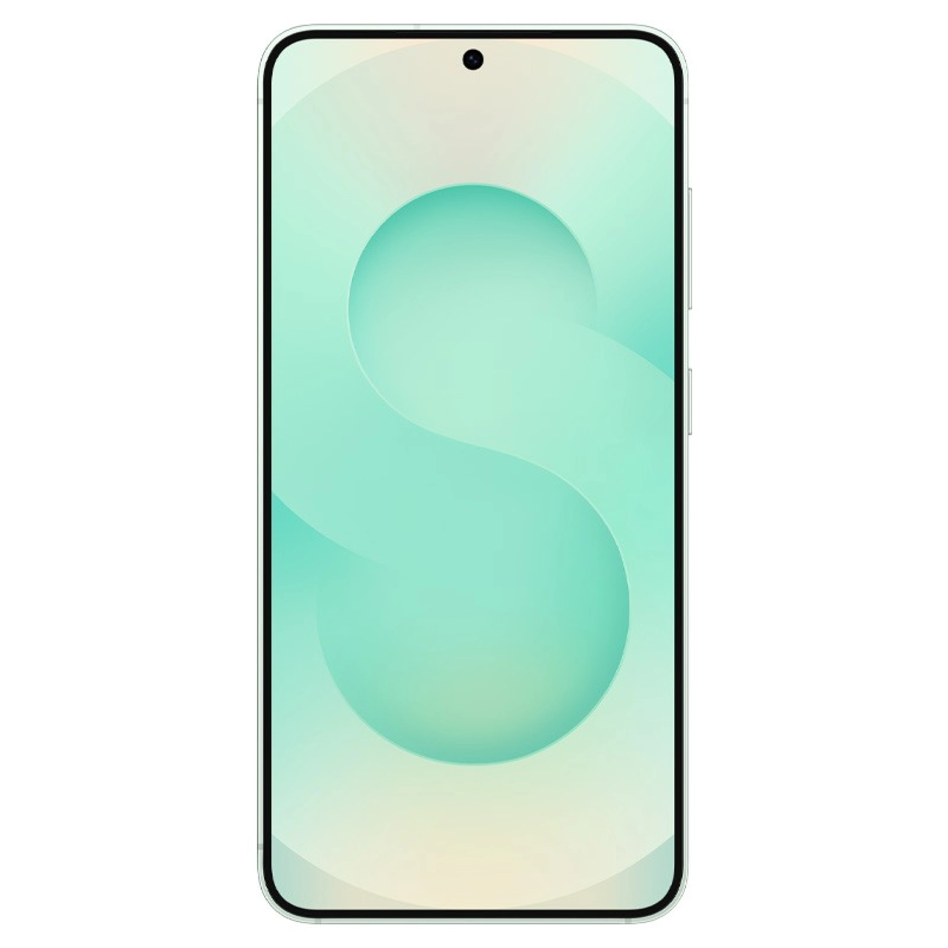 Samsung Galaxy S25
