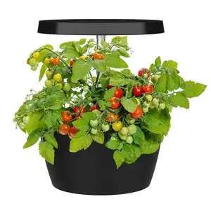 Jardin urbain Oasis