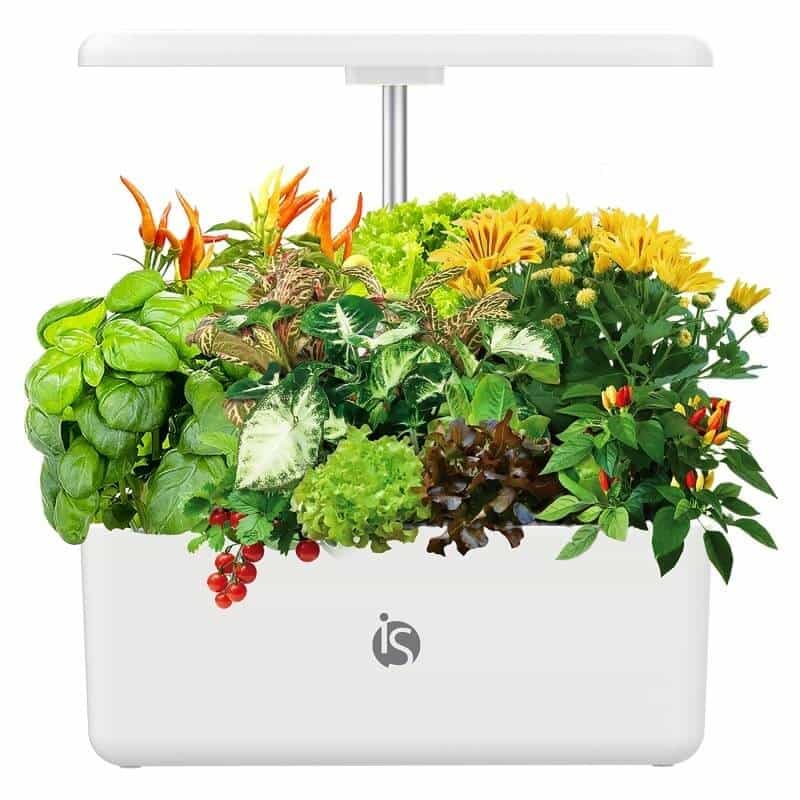 Potager d'Intérieur Eden