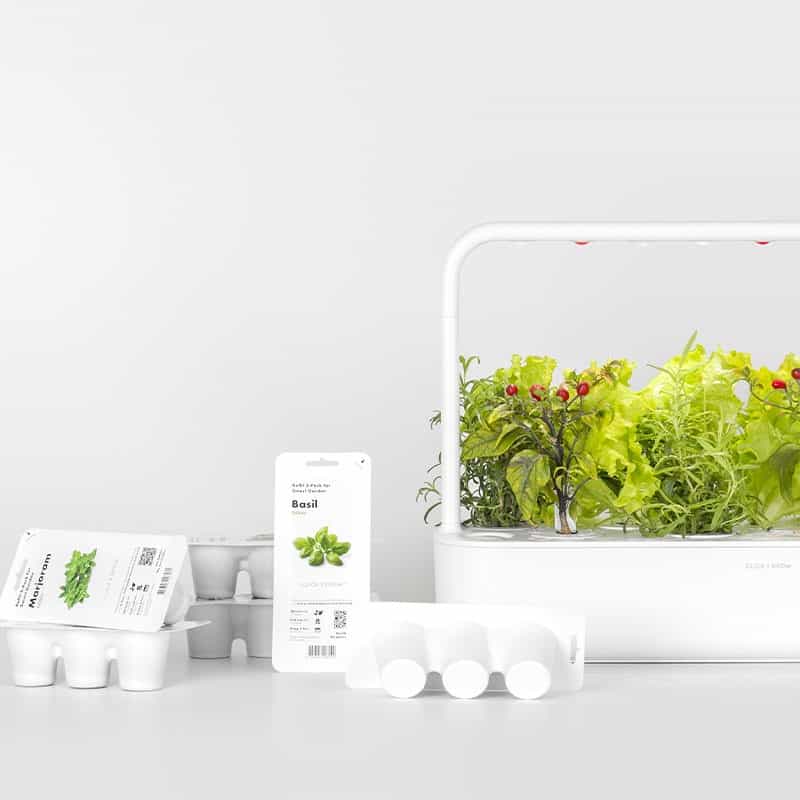 Cápsulas de Semillas Click and Grow 3 Acelga Verde