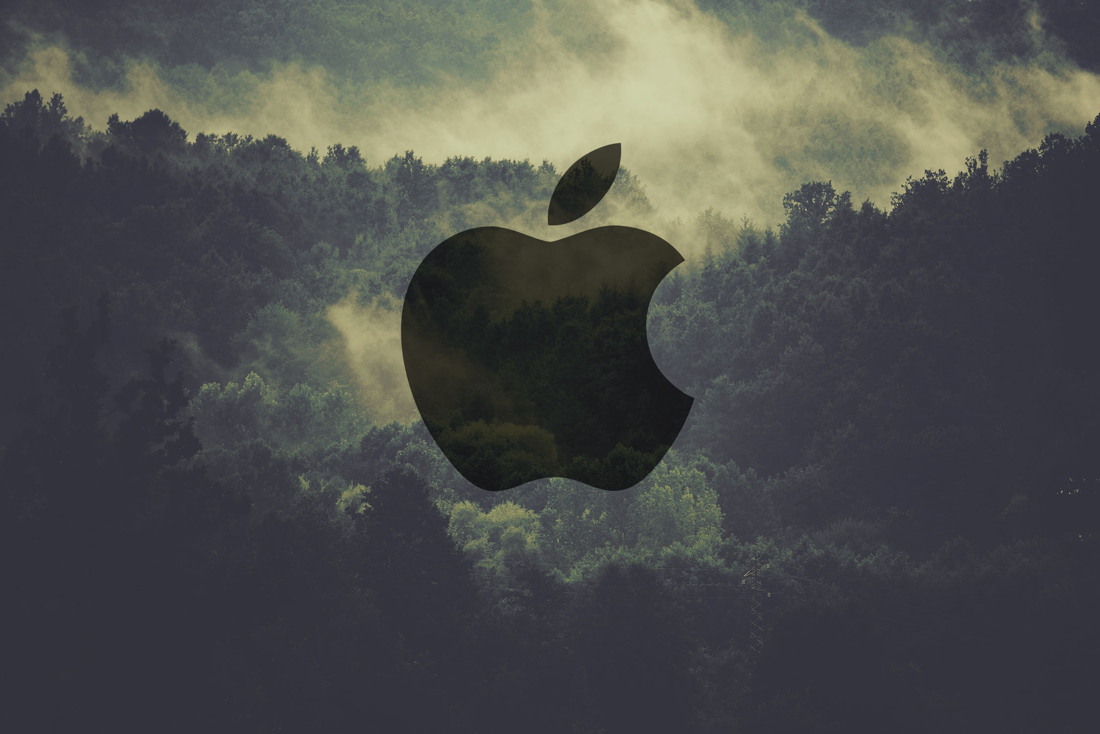 Apple foi considerada a empresa mais ecológica