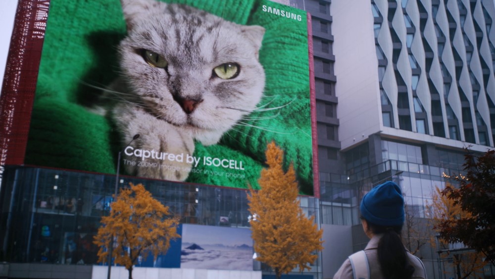 Samsung montre la qualité du nouveau capteur avec un chat géant  blog post