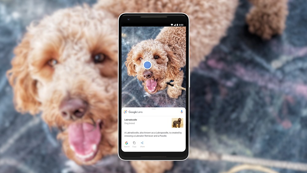 Google Lens étend votre recherche sur le système Android