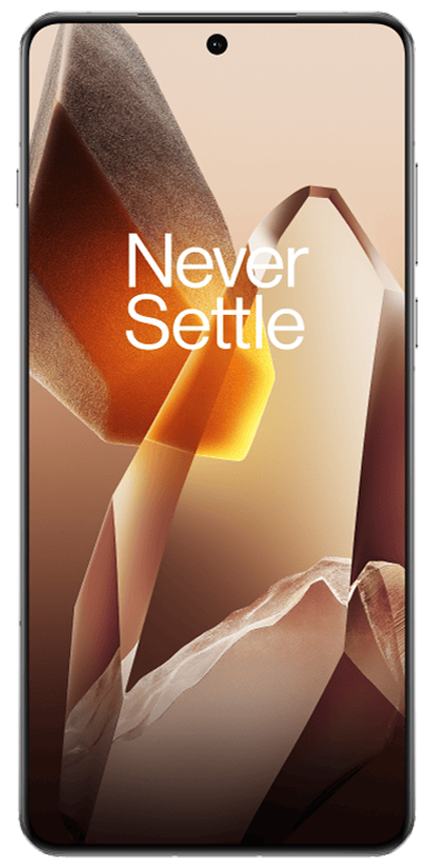 OnePlus 13